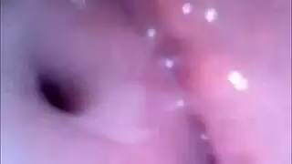 تركيز شرجي: نسخة المؤخرة المستديرة العربية