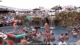 مترجم جماعي مترجم أمهات