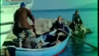 حجم القضيب النسب