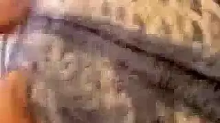 سيكس مراهق خشن: يكسر كسها على الكاميرا